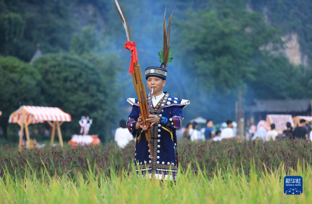 新澳京下载
